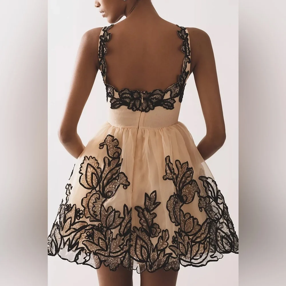 NWT Size 10 - Maeve Sleeveless V-Neck Lace Fit & Flare Mini Dress - Picture 5 of 16